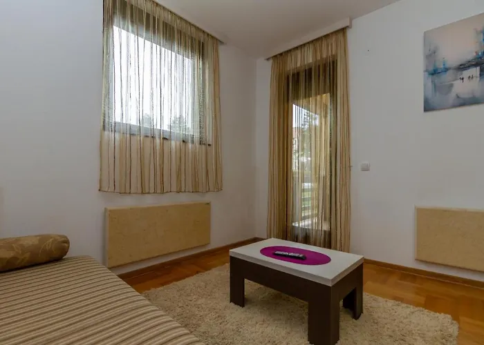 Nex * Златибор